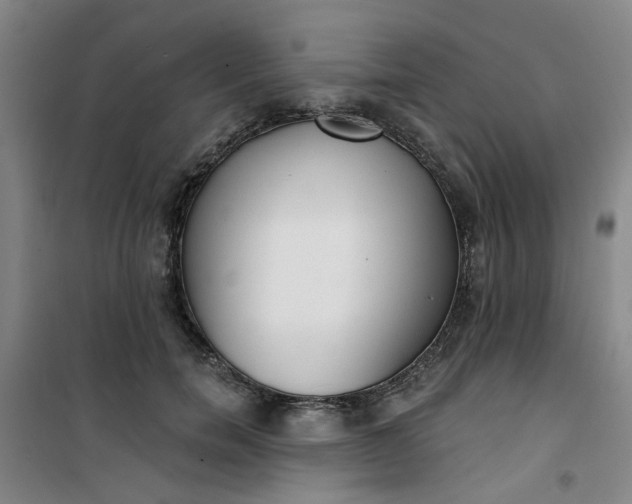 X0000101150750200807111005