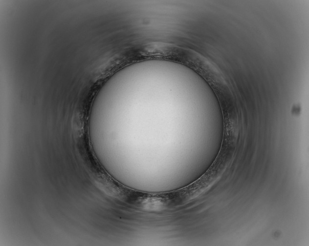 X0000101150751200807111005