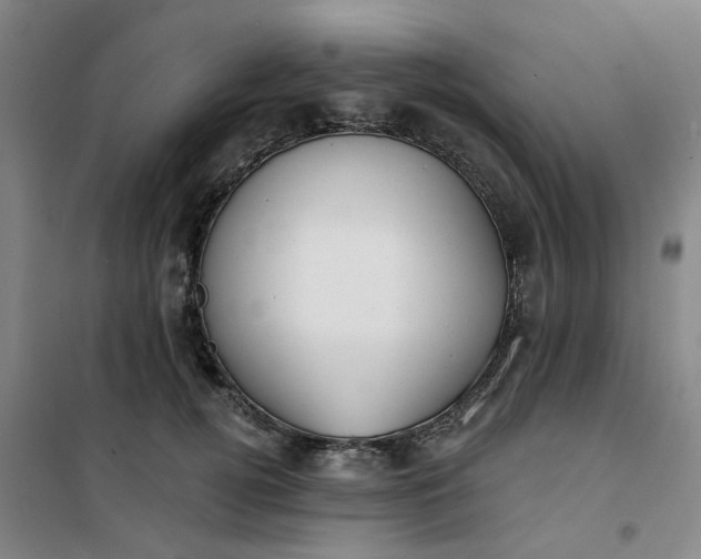 X0000101150752200807111005