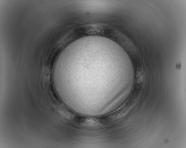 X0000101150753200807111005