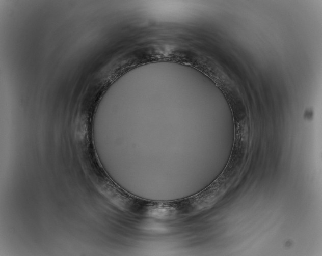 X0000101150754200807111005