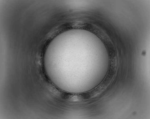 X0000101150755200807111005