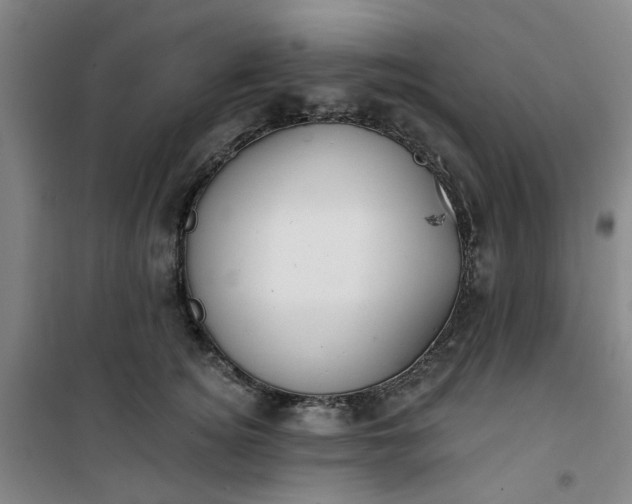 X0000101150756200807111005