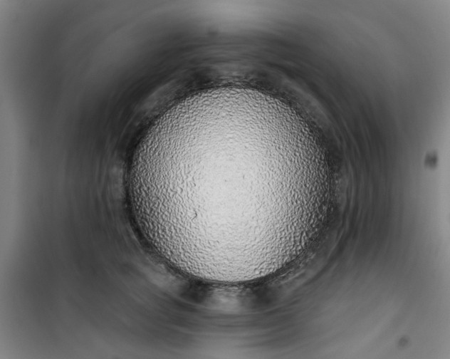 X0000101150757200807111005