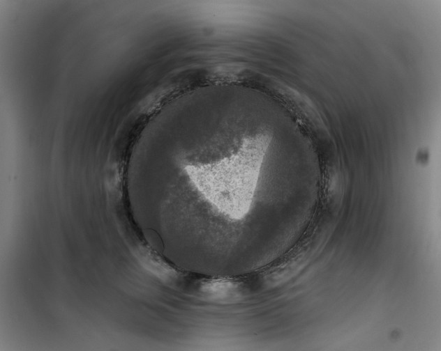 X0000101150759200807111005