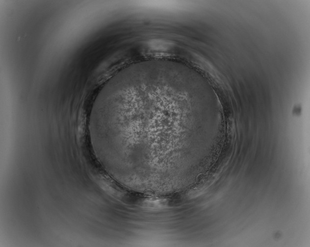 X0000101150760200807111005