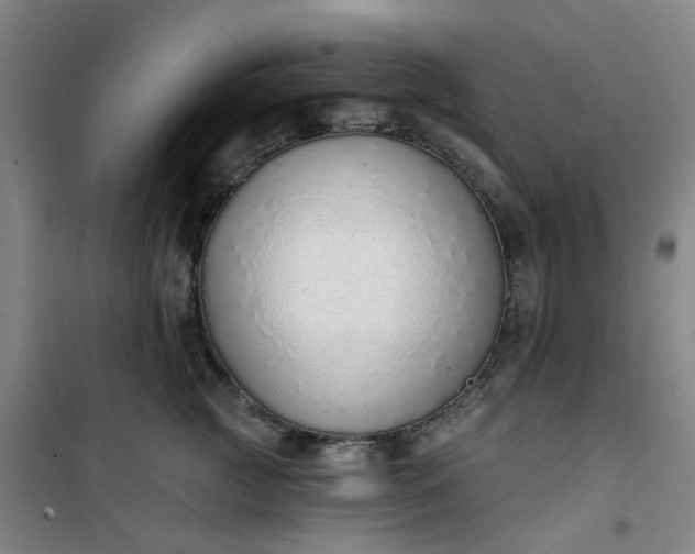 X0000101150761200807111005