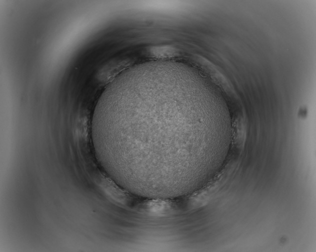 X0000101150762200807111005