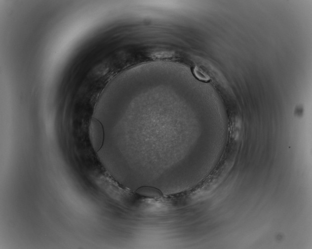 X0000101150763200807111005