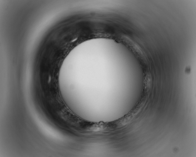 X0000101150764200807111005