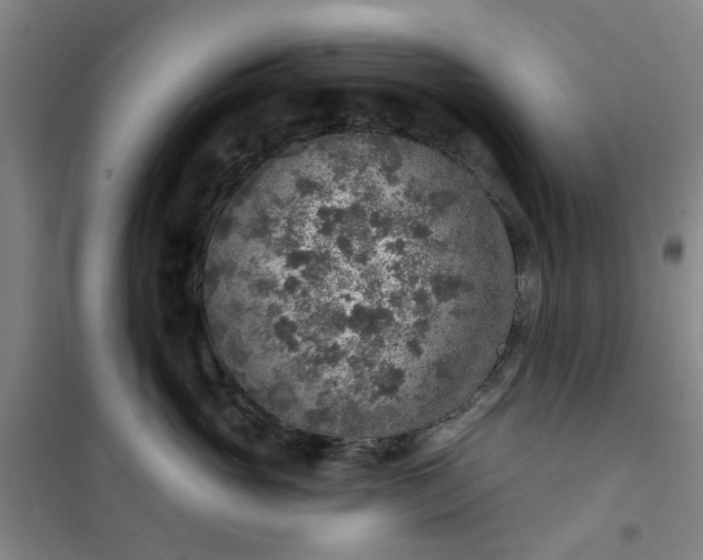 X0000101150765200807111005