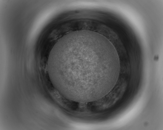 X0000101150766200807111005