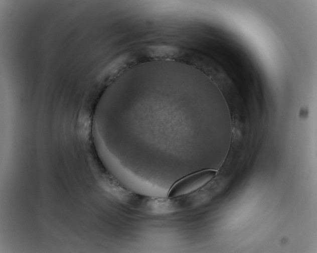 X0000101150767200807111005