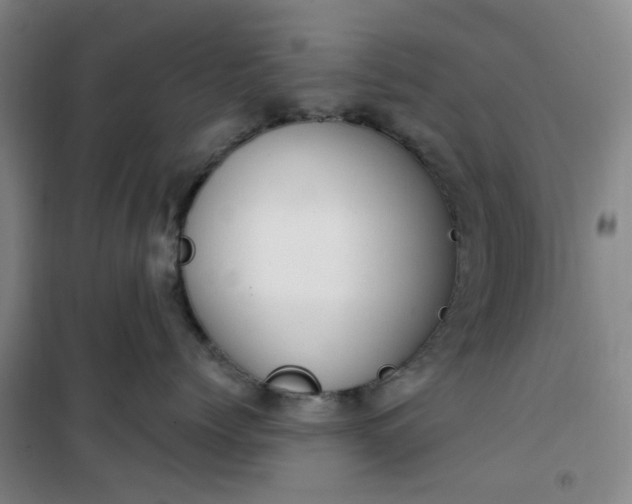 X0000101150768200807111005