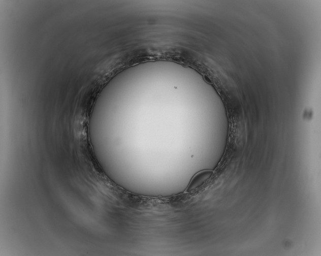 X0000101150770200807111005