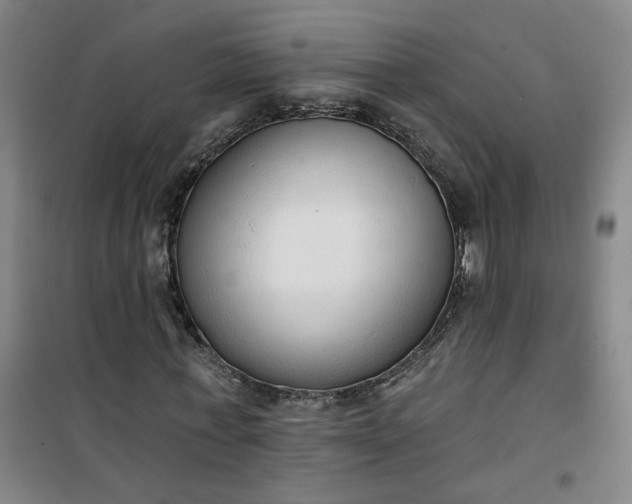 X0000101150771200807111005