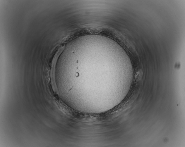 X0000101150772200807111005