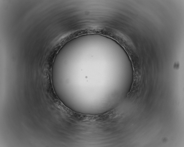 X0000101150773200807111005