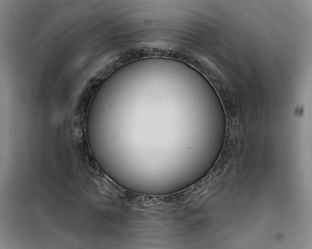 X0000101150774200807111005