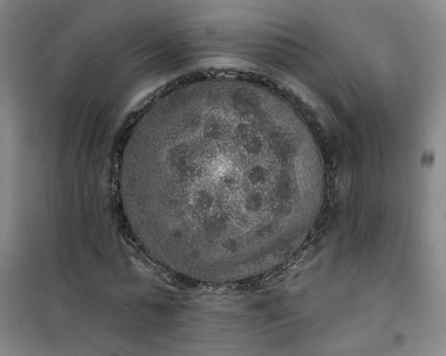 X0000101150775200807111005