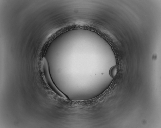 X0000101150776200807111005