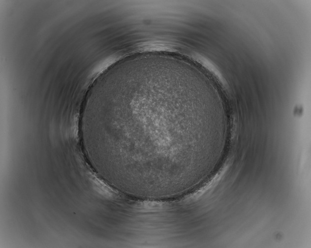 X0000101150777200807111005