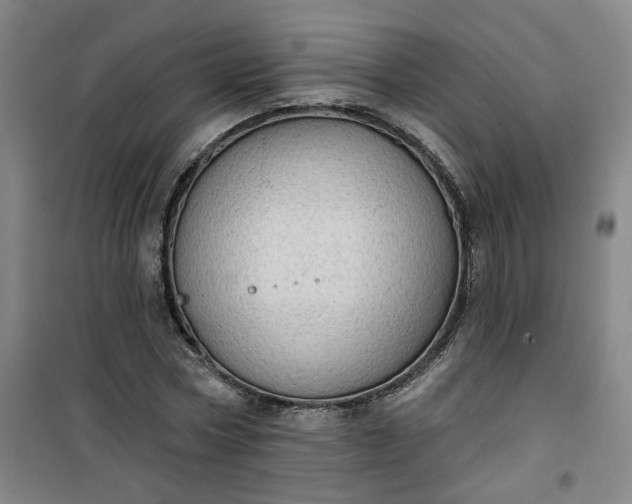 X0000101150778200807111005