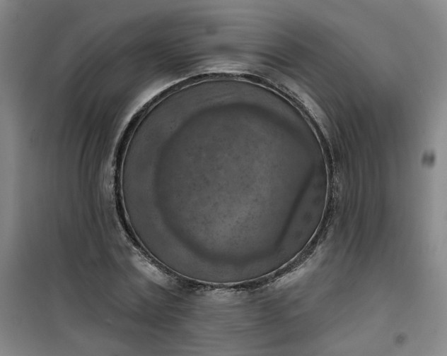 X0000101150779200807111005