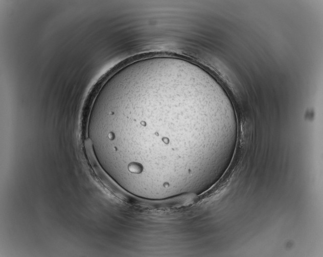 X0000101150780200807111005