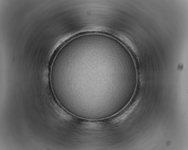 X0000101150781200807111004