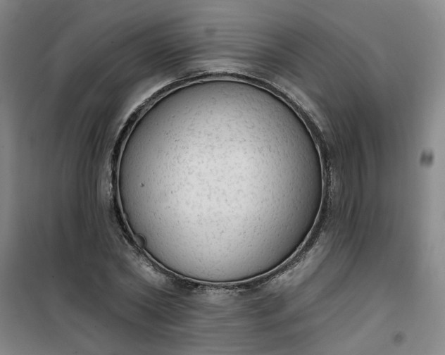 X0000101150782200807111004