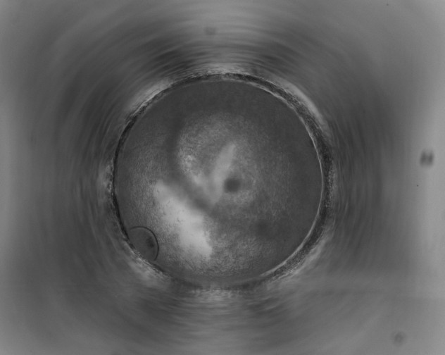 X0000101150785200807111004