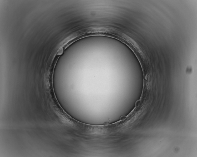 X0000101150786200807111004