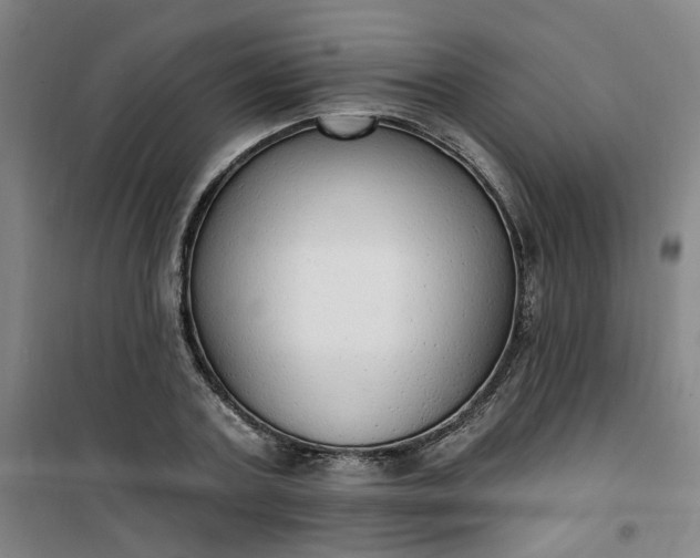 X0000101150787200807111004