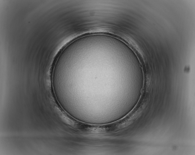 X0000101150789200807111004