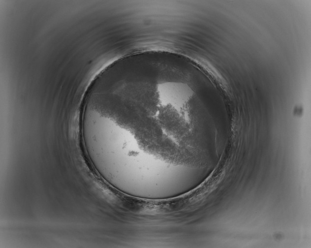 X0000101150790200807111004