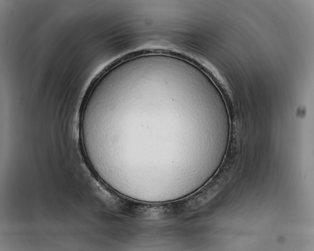 X0000101150791200807111004