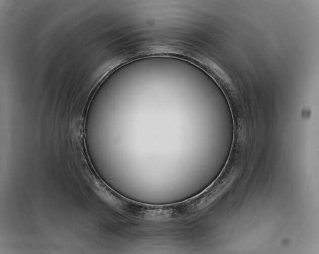 X0000101150793200807111004