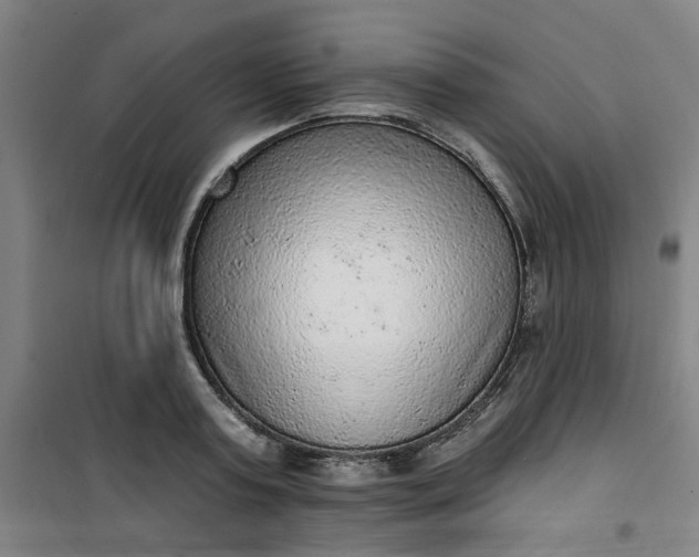 X0000101150795200807111004