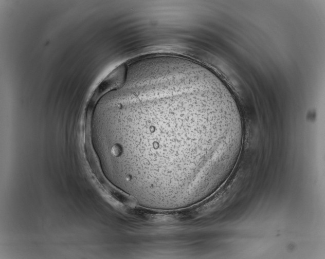 X0000101150796200807111004