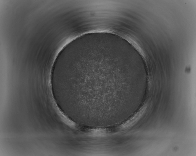 X0000101150797200807111004