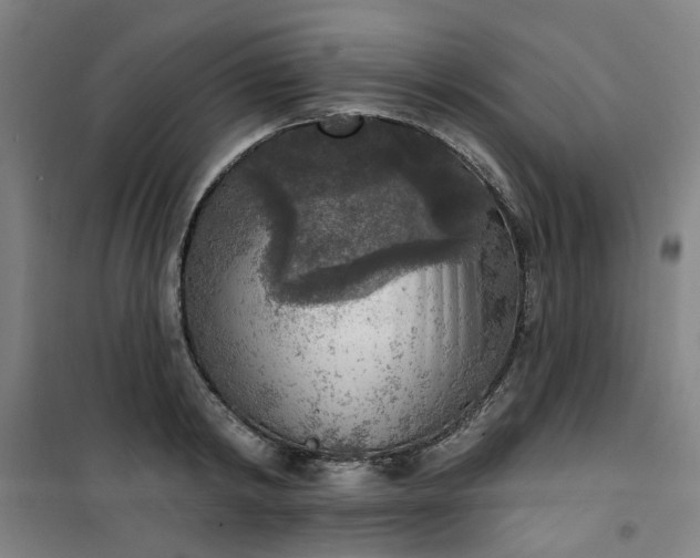 X0000101150798200807111004