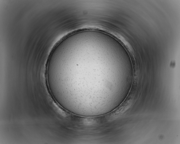 X0000101150799200807111004