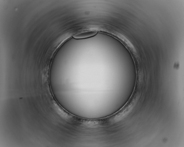 X0000101150801200807111004