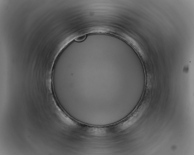 X0000101150802200807111004