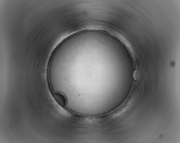 X0000101150803200807111004