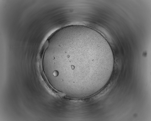 X0000101150804200807111004