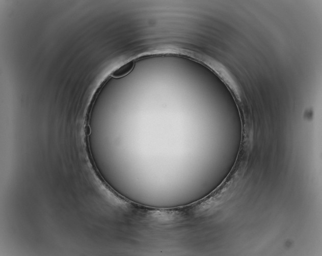 X0000101150805200807111004