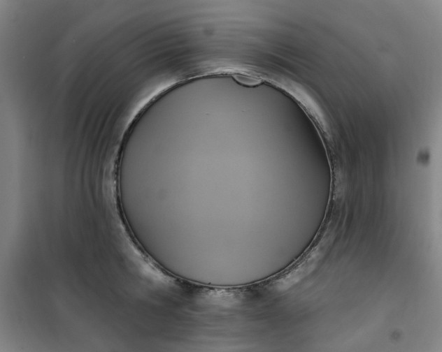 X0000101150806200807111004