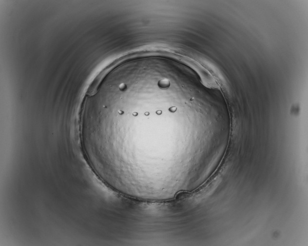 X0000101150808200807111004